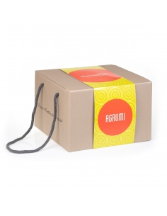 Panettone agli agrumi