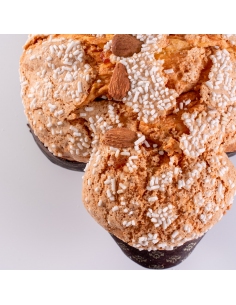 Colomba classica 2